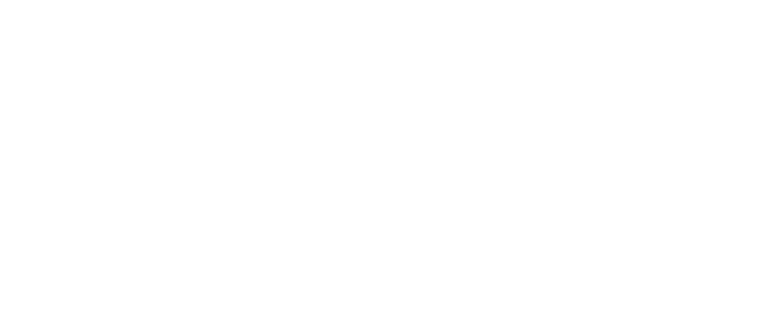 Disney Wordmark